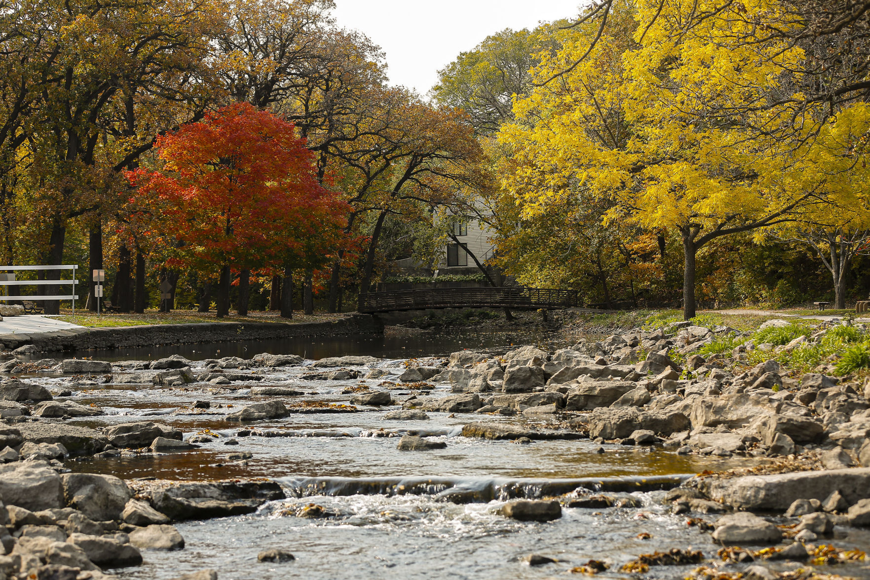 Fall Colors 7